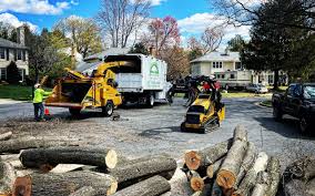 Best Sod Installation  in Soquel, CA