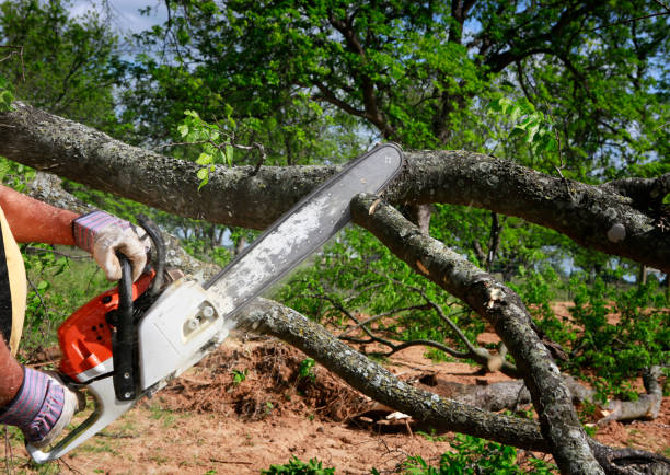 Best Soil Testing and Treatment  in Soquel, CA